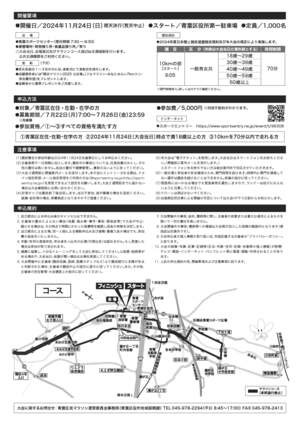 第11回大会チラシ裏