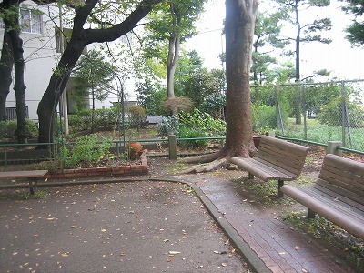 ベンチと植栽地です。