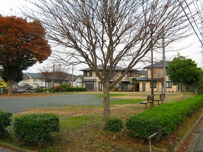 公園の入口です。