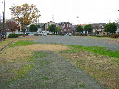 公園の広場です。