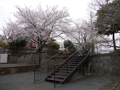 公園内の階段です。