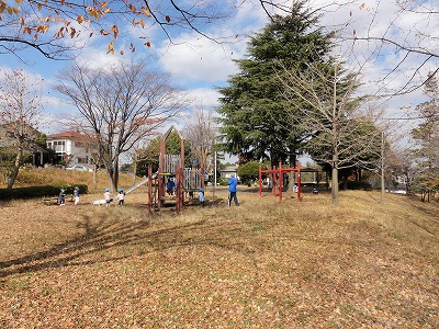 複合遊具です。