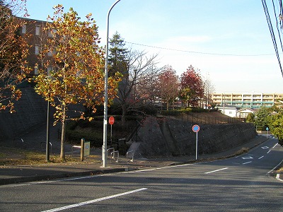 公園の入口です。