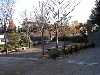 園路と植栽です。