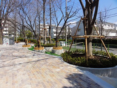 入口の植栽です。