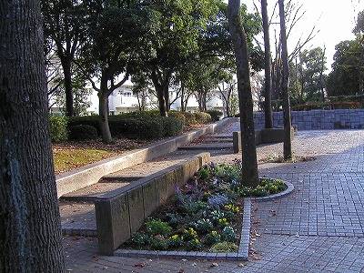 花壇です。