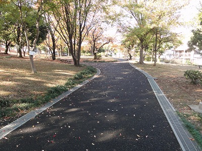 樹林の中を通る園路です。