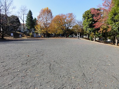 広場と樹林地です。