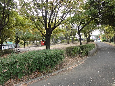 上段の園路です。