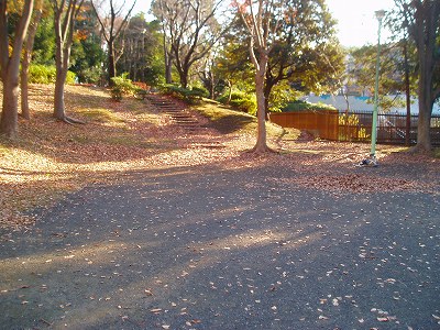 斜面と広場です。
