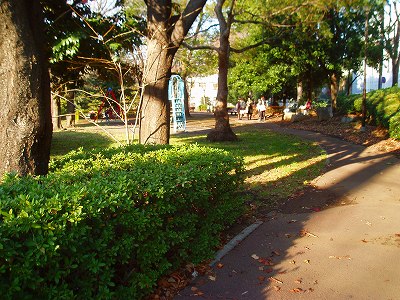 園路と樹木です。