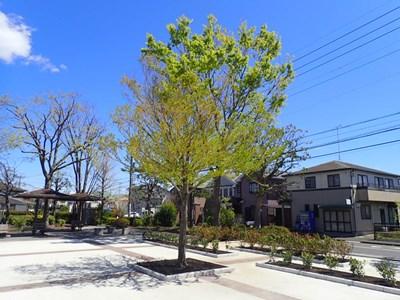 広場と植栽です。