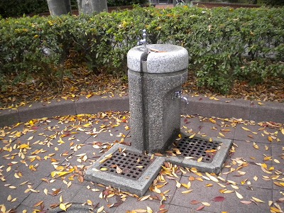 水飲みです。
