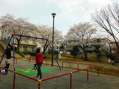 ブランコです。