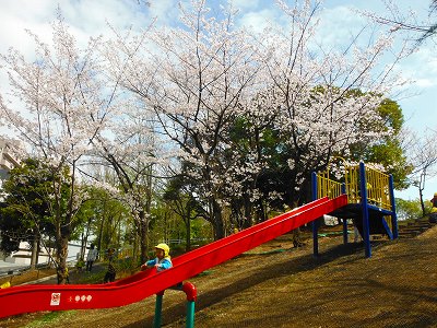 長いすべり台です。