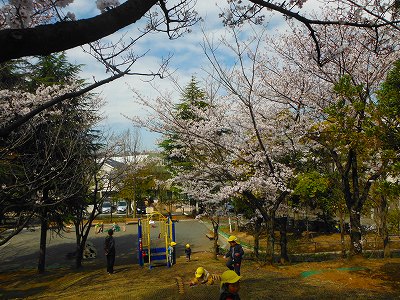 桜とすべり台の入口です。
