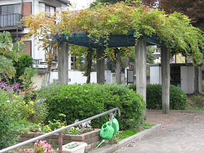 フジ棚です。