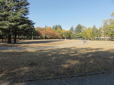 トラック型の広場です。