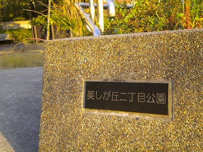園名石です。