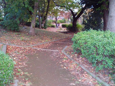 園路です。