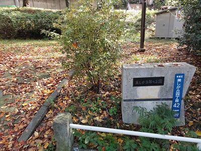 園名石です。