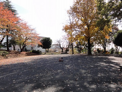 広場です。