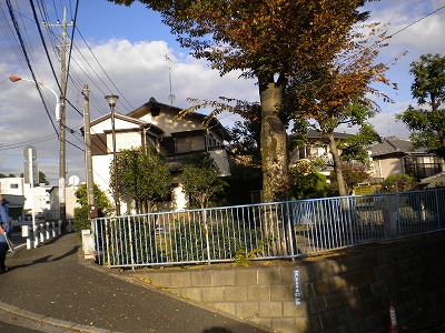 隣の道路から見た公園です。