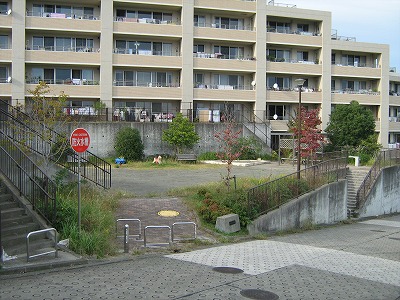 公園の全景です。
