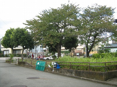 公園の外周です。