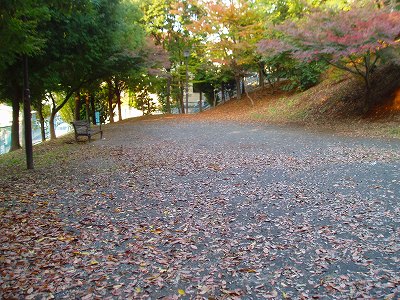斜面下の平坦地です。