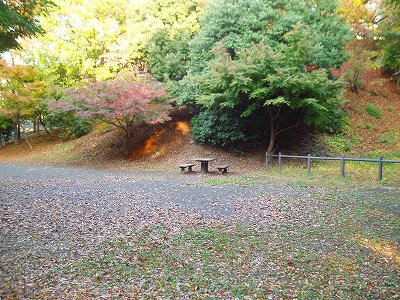 ベンチと野外卓です。