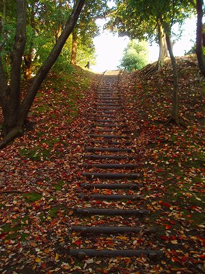 土居木階段です。