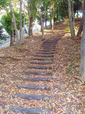 樹林内の土居木階段です。