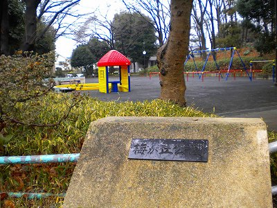 園名石とお家の遊具です。