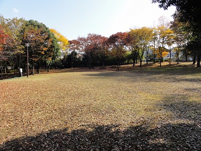 広場です。