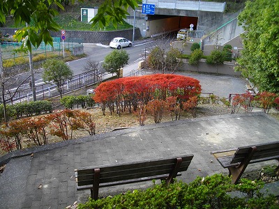 公園を一望できます。