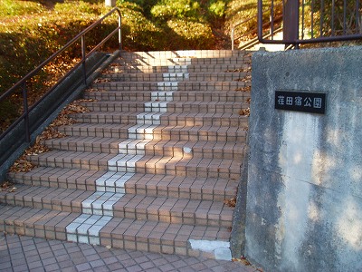 公園に入る階段です。