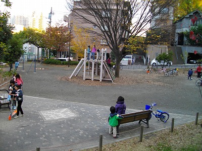 ケヤキと遊具です。