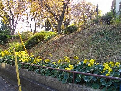 公園の外周です。