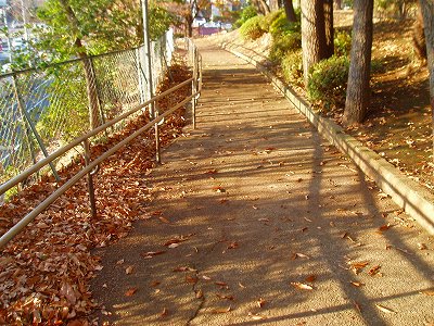 広場に登る園路です。