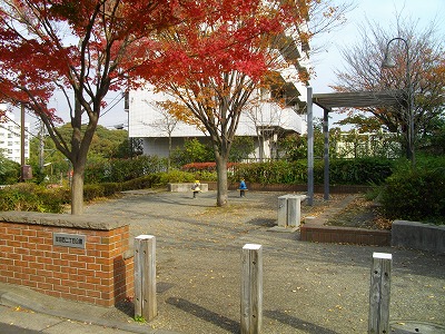公園の入口付近です。