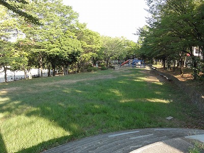 芝生の斜面です。