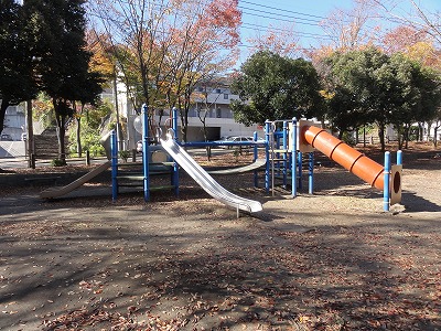 複合遊具です。