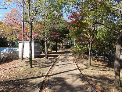 樹木に挟まれた園路です。