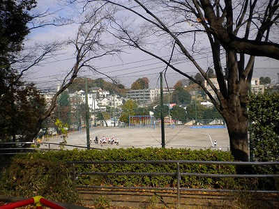 公園からの眺めです。