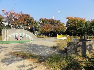 ウォールです。