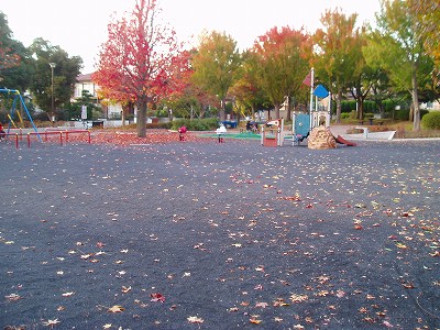 広場です。
