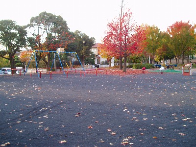 紅葉とブランコです。