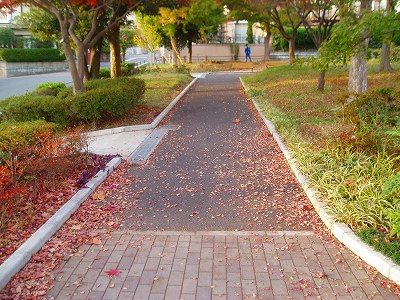 園路です。