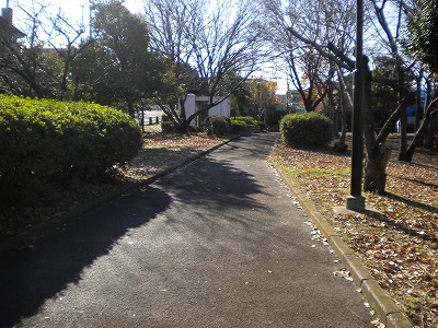 園路です。